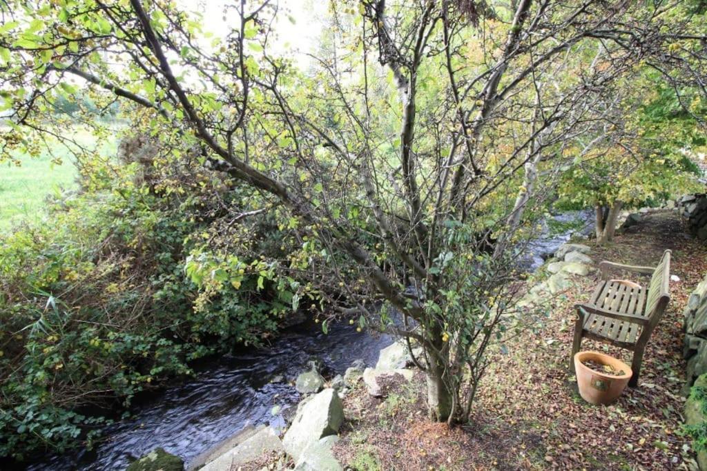 Riverside Cottage At Logwood Mill Ballyclare المظهر الخارجي الصورة