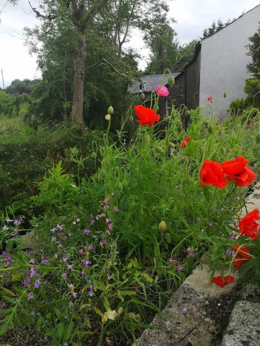 Riverside Cottage At Logwood Mill Ballyclare المظهر الخارجي الصورة