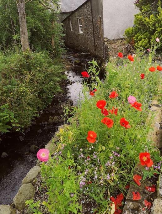 Riverside Cottage At Logwood Mill Ballyclare المظهر الخارجي الصورة