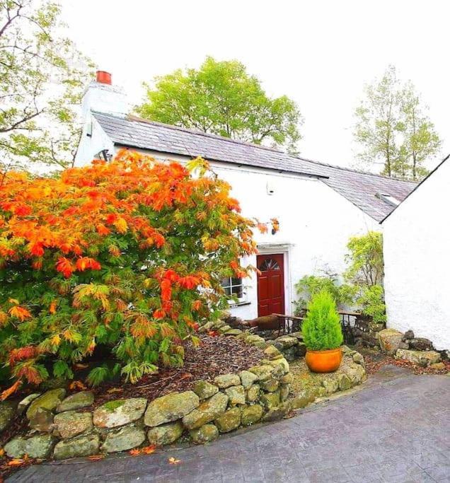 Riverside Cottage At Logwood Mill Ballyclare المظهر الخارجي الصورة