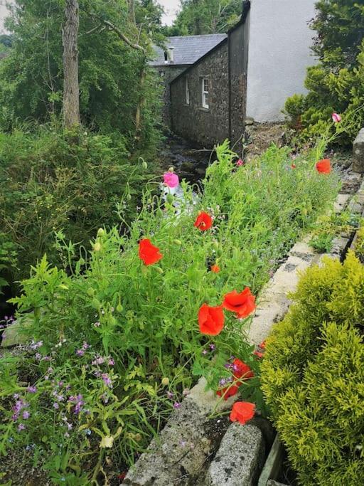 Riverside Cottage At Logwood Mill Ballyclare المظهر الخارجي الصورة