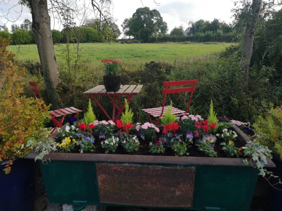 Riverside Cottage At Logwood Mill Ballyclare المظهر الخارجي الصورة